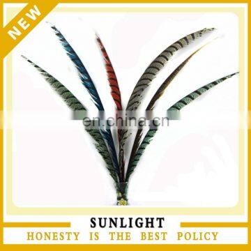 China wholesale Fashion Amherst Pheasant feather Tails