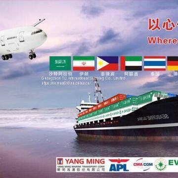 International Logistics Shipping Maoming to Kuwait Special Line FCL Shipping Double Clearance to the Door