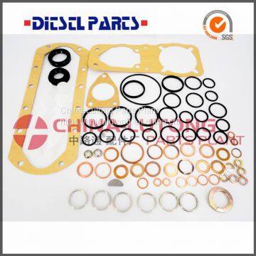 diesel injection pump rebuild kits 2 417 010 001 (P3000) injector pump rebuild