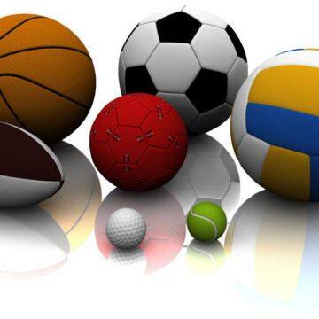 DINGZHOU DONGZHENG IMPORT AND EXPORT CO., LTD