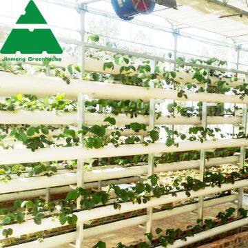 PC Sheet Greenhouse for Large-Scale Soilless Cultivation photo-2