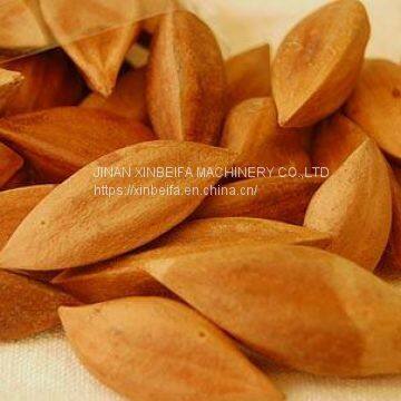 Thunderbolt Fruit Drying Machine photo-5