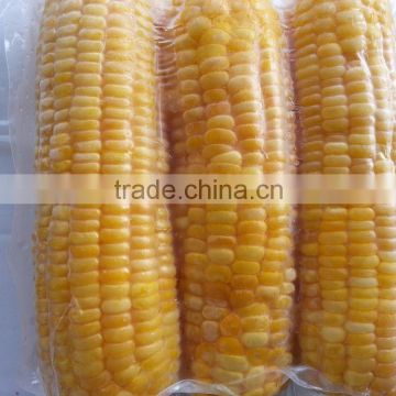 Frozen Yellow Sweet Corn from Vietnam