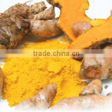 Fine Quality Cucurma Aromatica Powder For OEM