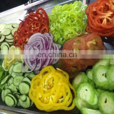 Multifunctional Vegetables Slicing Machine DX-100 on Fruit and Vegetable Processing Machines photo-3