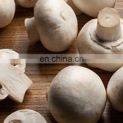 Good Price Mushrooms Pickled From Vietnam photo-2