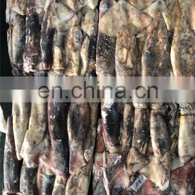 Whole Round Dosidicus Gigas Peru Giant Squid Frozen Giant Squid Price 300-500 500-1000 photo-2