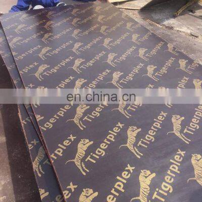 black film faced plywood 1220*2440*18mm  packing plywood