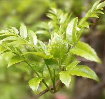 Dihydromyricetin 98%, Cany tea extract, Vine Tea Extract, Ampelopsin, CAS No.: 27200-12-0, Ampelopsis Extract