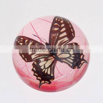 New design wholesale paperweight with real butterfly