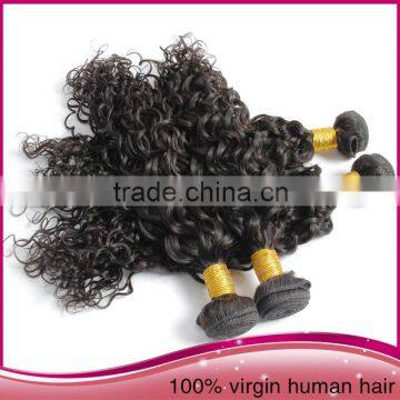 Tangle Free High Quality Unprocessed Brazilian Human Hair Afro Women Water Wave Hair Extension photo-2