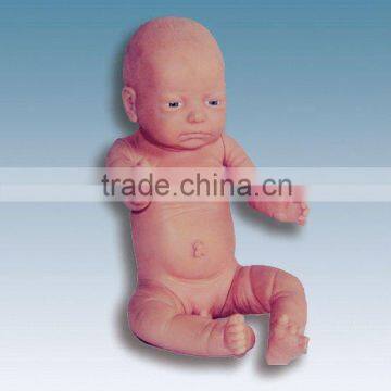 best seller newborn infant model