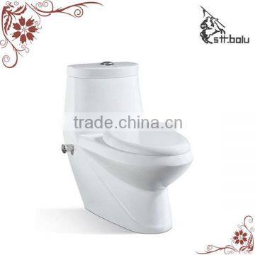 Washdown 250mm one piece toilet Bidet