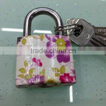 Color sprayed painted padlock with normal keys