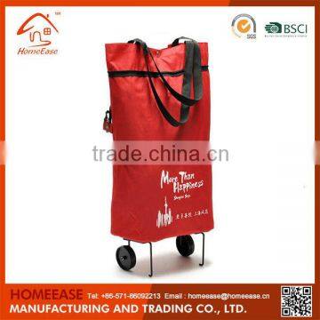 Advertising Shopping Elderly Shopping Cart