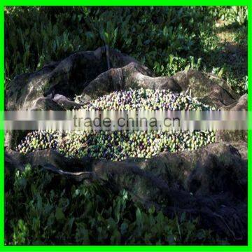2016 100% virgin HDPE/PE UV added long life span plastic olive harvest nets/olive collection net
