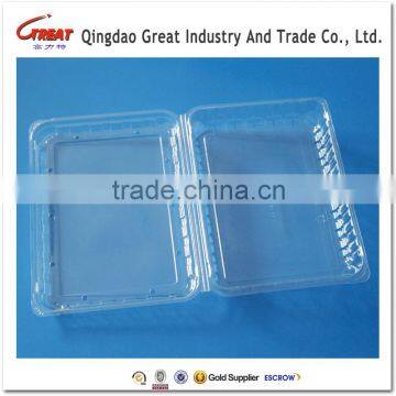 PET Food Grade Clear Disposable Blister Plastic Packaging Container for Blueberry photo-2