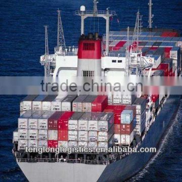 Sea shipping logistics agent and CIQ agent to Damietta of Egypt from Shanghai Suzhou