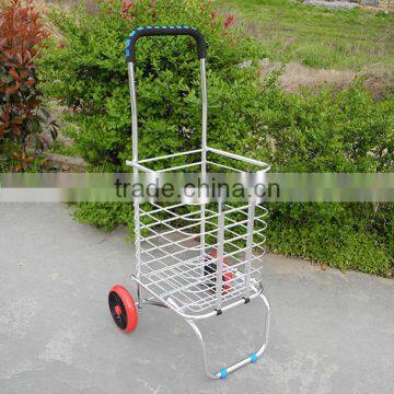 Folded Shopping Cart
