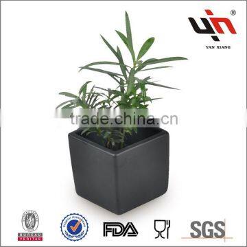 Dolomite Planter