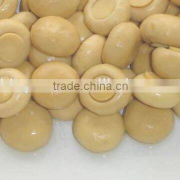 High Quality Canned Mushroom With Best Price for Sale