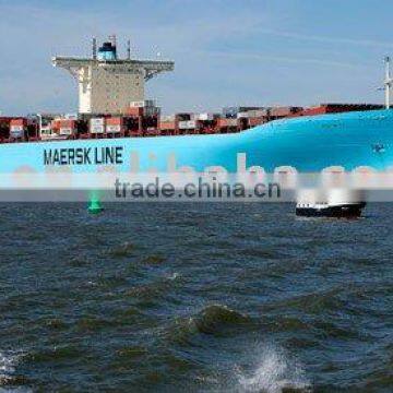 Container shipping services from Shenzhen Forwarder,Sea freight to Chennai,India