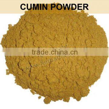 CUMIN POWDER