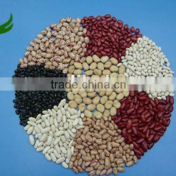 White Red Kidney Beans on Sale