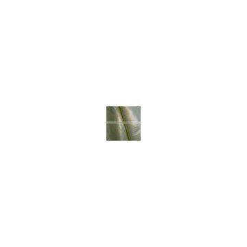 Bobai Textile Chinese Fabric photo-4