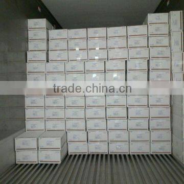 I.Q.F SCALLOPS ROE OFF photo-6