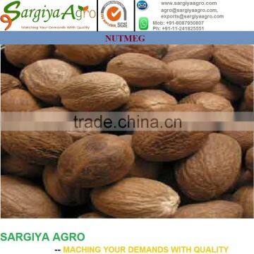 Nutmeg Whole l High Quality photo-3
