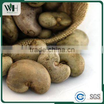 Certified Fresh Cambodia RCN photo-2