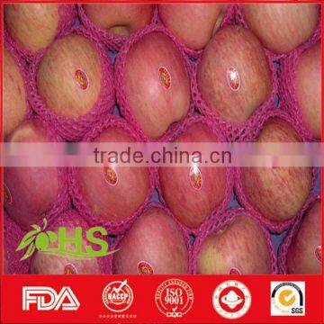 New Fresh Red Fuji Apple With Cheap Price and Rich Nutrition photo-3