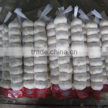 Supply 2016 Fresh Normal White Garlic photo-3