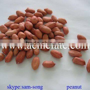 Groundnut Peanut Kernels photo-2