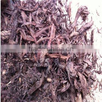 Full Dried Herbal Sinkiang Arnebia Root