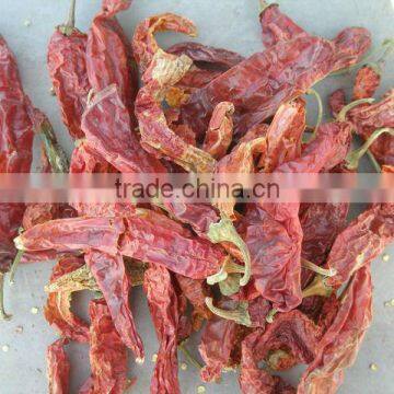 Dried red China's new crop paprika