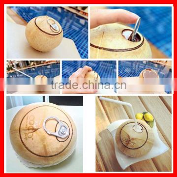 Coconut Shell Laser Cutting and Engraving Machine Make Coconut Like Coco Easy