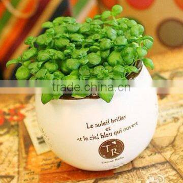 2016 porcelain flower pot fashion crafts