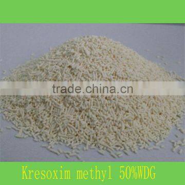 Kresoxim Methyl 50%WDG_fungicide