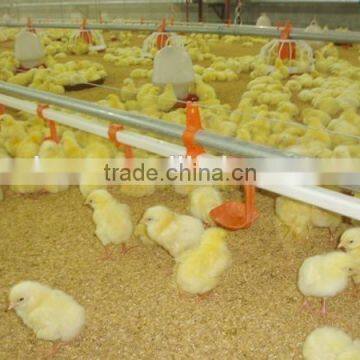 chicken ground raising equipment with automatic feeding and drinking line