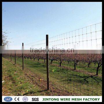 steel deer fencecattle fence hot salefixed knot woven wire fence