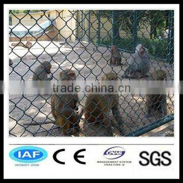 Glavanized & PVC Coated Animal Security Fence/Zoo Fencing