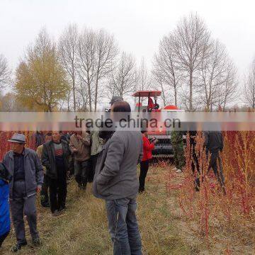 quinoa combine harvester