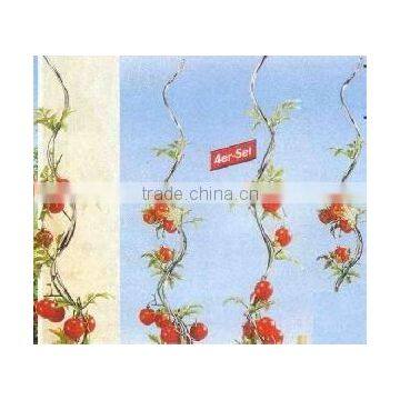 growing galvanzied tomato spiral iron wire