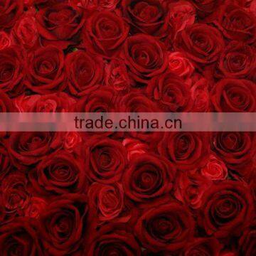 China Supplier Wedding Decor Wall New Design Wedding Decor Flower Wall photo-3
