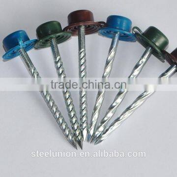 Twisted Nails With Plastic Head photo-5