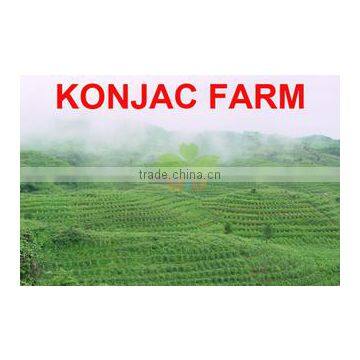 Ator Food Co., Ltd. (Shenzhen)