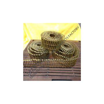 Plastic Strip Nail,Plastice Strip Staple,Plastic Strip Nail Factory,Plastic Strip Price,Plastic Strip Nail Supplier,Plastic Strip Nail Manufacture photo-3