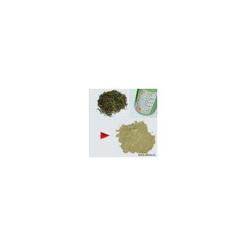 Sell Green Tea Powder